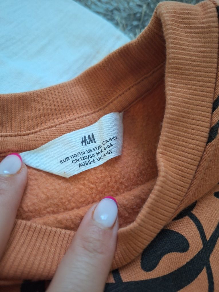 Блузи с дълъг ръкав 110/116 , долнища Zara , блузи Jurassic world