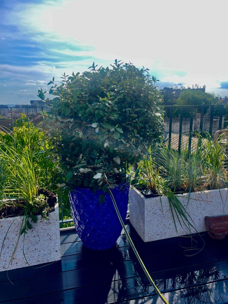 Jardiniere mozaic