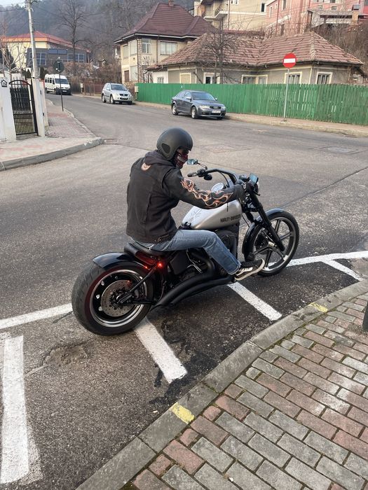 harley davidson  custom