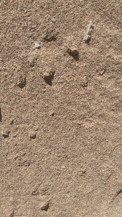 Мытый капчагайский песок, мелкий и крупный,  бархан құм, сникерс камаз