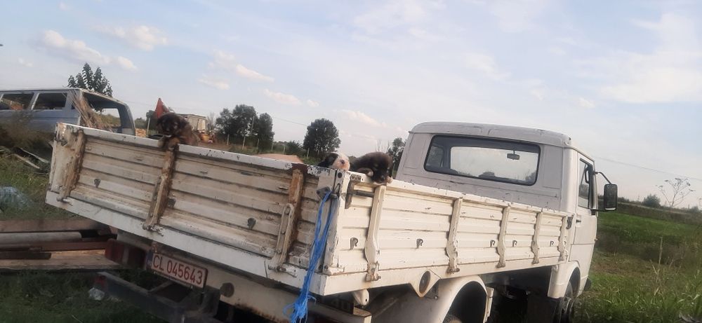 Vand LT 40 la un pret decent