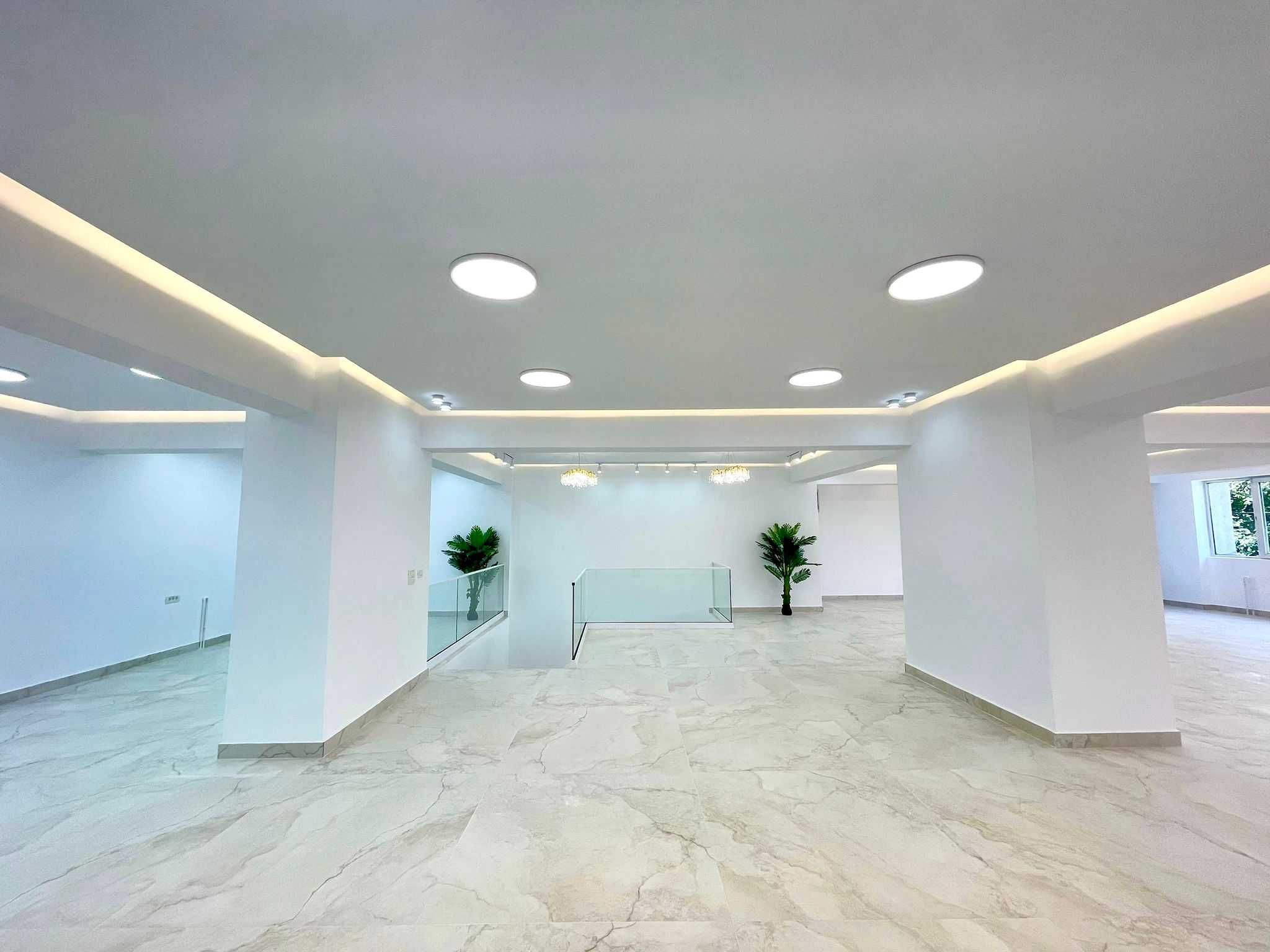 Spațiu comercial de lux – 250 mp, Colentina, stradal | Vad excelent