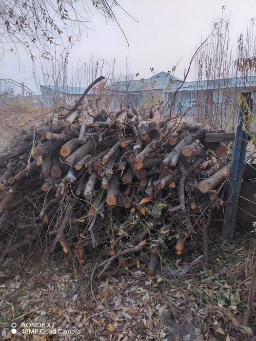 Утинлар сотилади