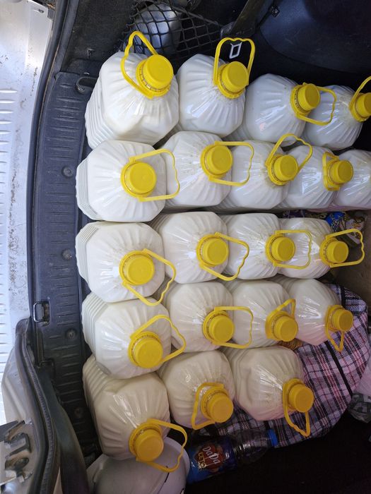 Қымыз Саржалдан.