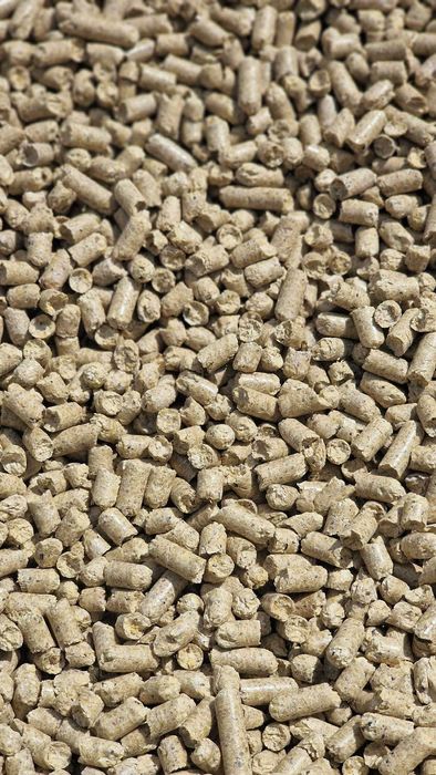 Granula din coaja de soia