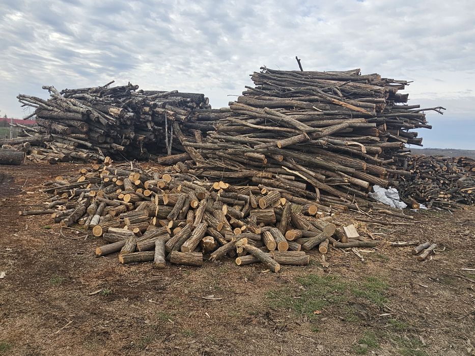 Lemn foc, peleti, brichete, cherestea