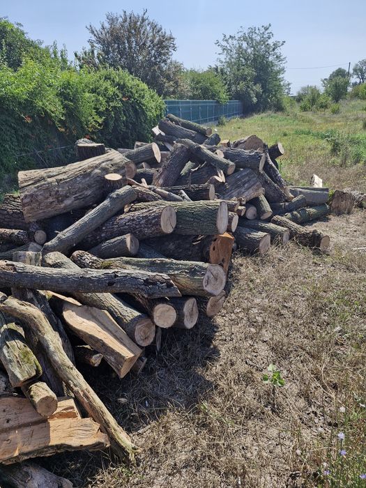 Lemn de foc - transport inclus - esență tare & moale