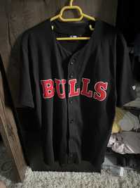 Camasa Bulls NewEra