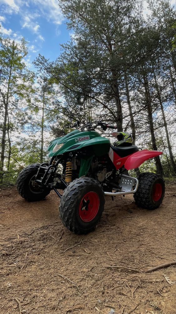 Атв Dinli QUADZILLA 450 кубика Castrol Edition