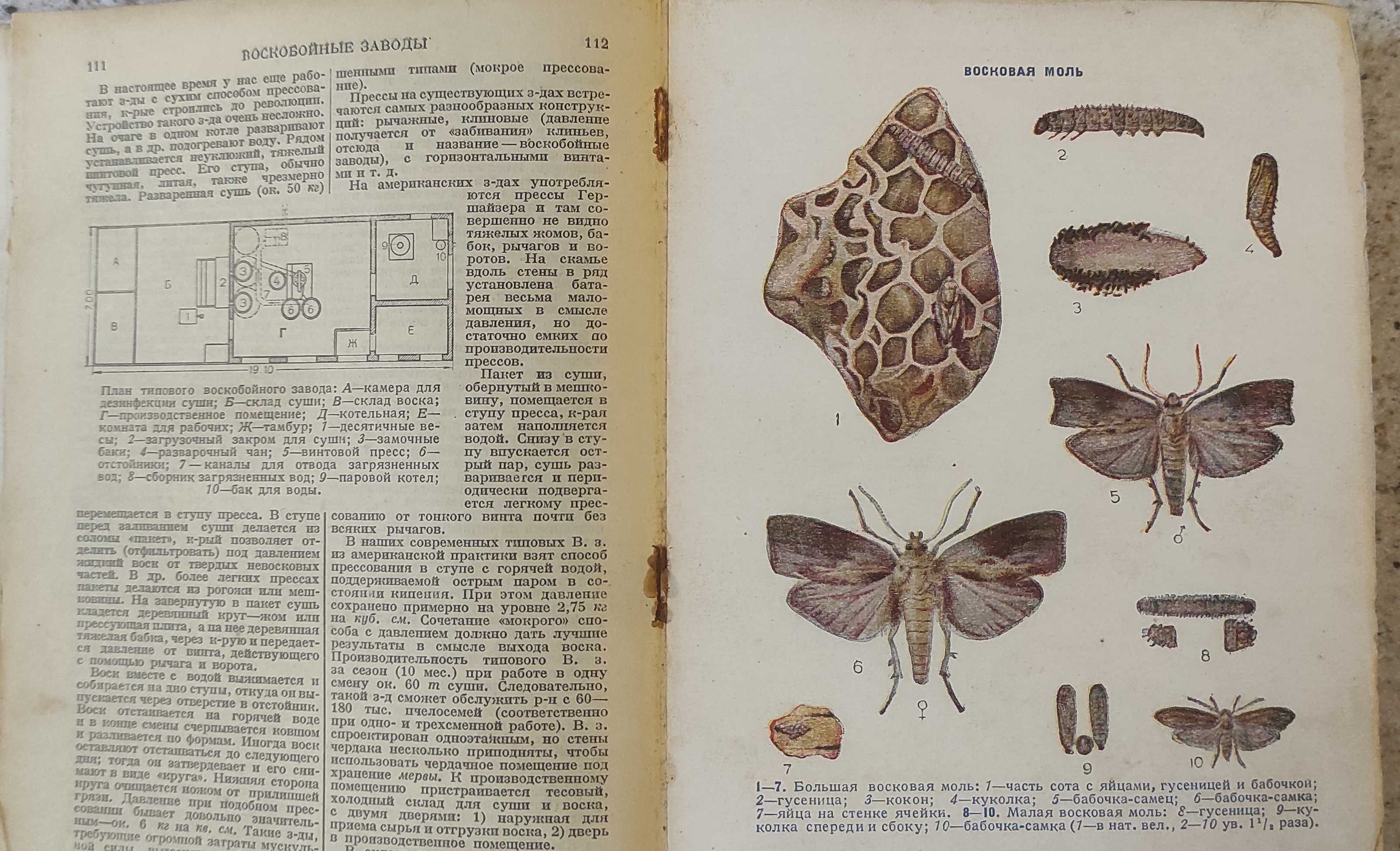 Словарь-справочник по пчеловодству. Букинистическая книга 1937 года.