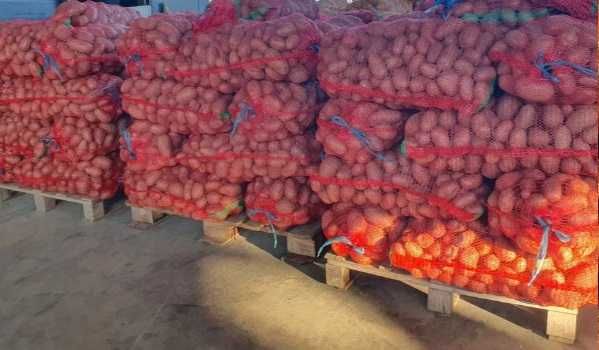 Cartofi Esmee, ambalat 06. dec. 2025