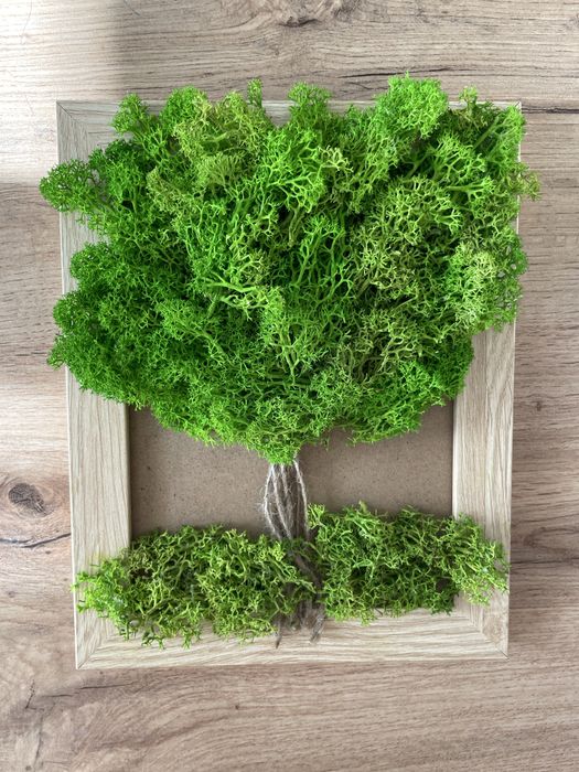 Картини и часовници със скандинавски мъх