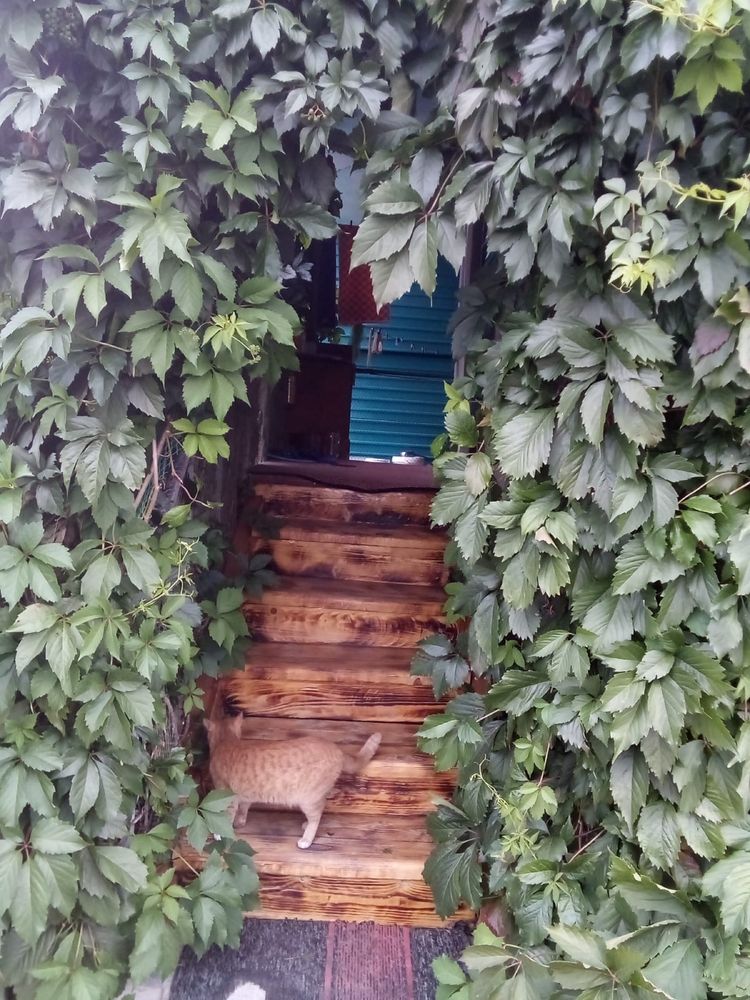 Продам отличную дачу