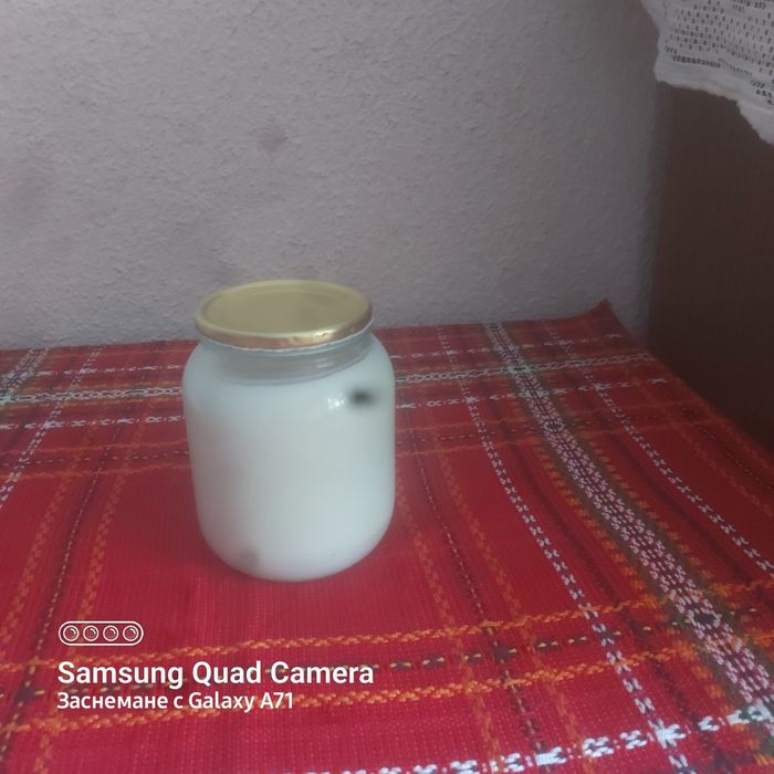 Домашна свинска мас