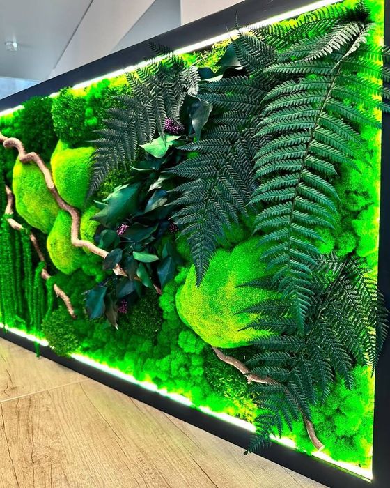 Живая зелёная стена из стабилизированного мха и растений люкс-класса