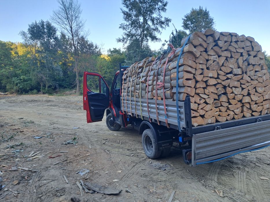 Lemne de vânzare fag și stejar salcâm