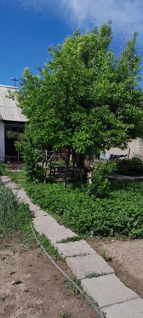 Продаю дом в дачном массиве..