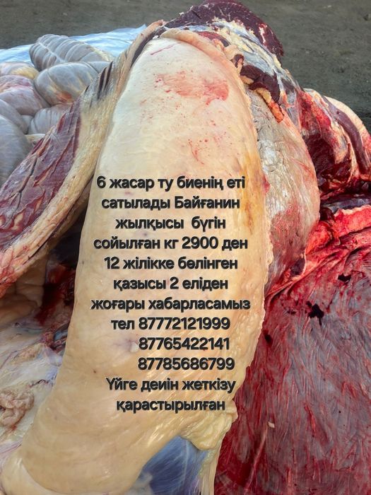 Ет сатылады жіліктеп хабарласыңыздар Актобе каласы боиынша доставка ба