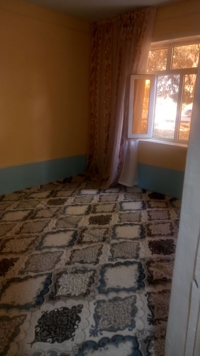 Аренда   сурхандарье шурчи