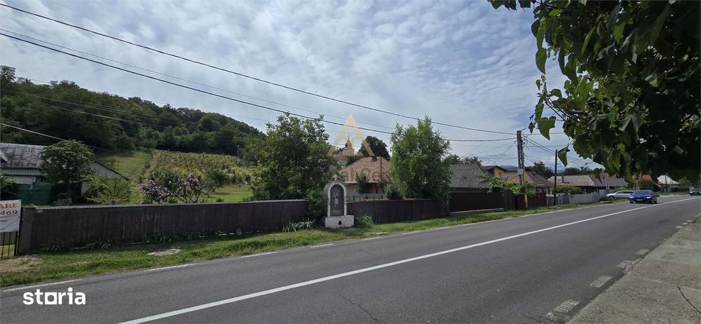 Teren intravilan + extravilan 10.537 mp – casa, livada sau ferma de fa