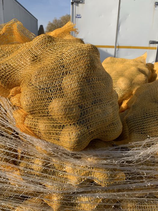 Vand cartofi consum alb rosu