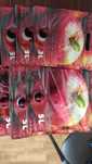 Punga bag-in-box/tip pounch 3l/5.5ron