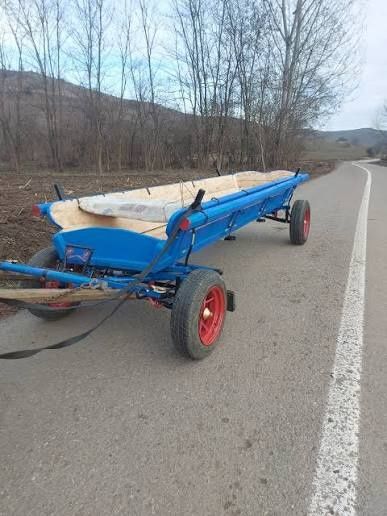 Vand cal căruță de calitate