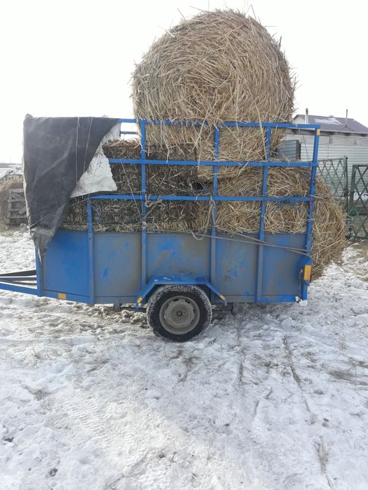 продам прицеп коневозка