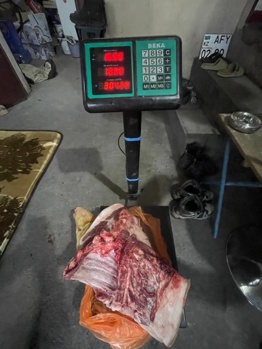 Мясо свинки передняя ножка с ребрами