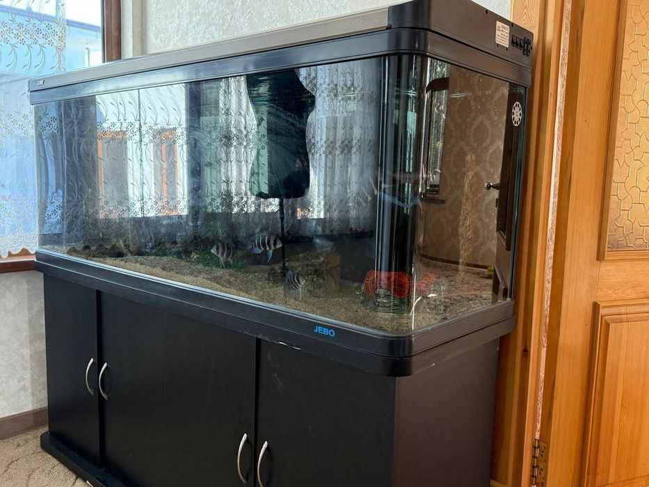 Хитой аквариум сотилади.