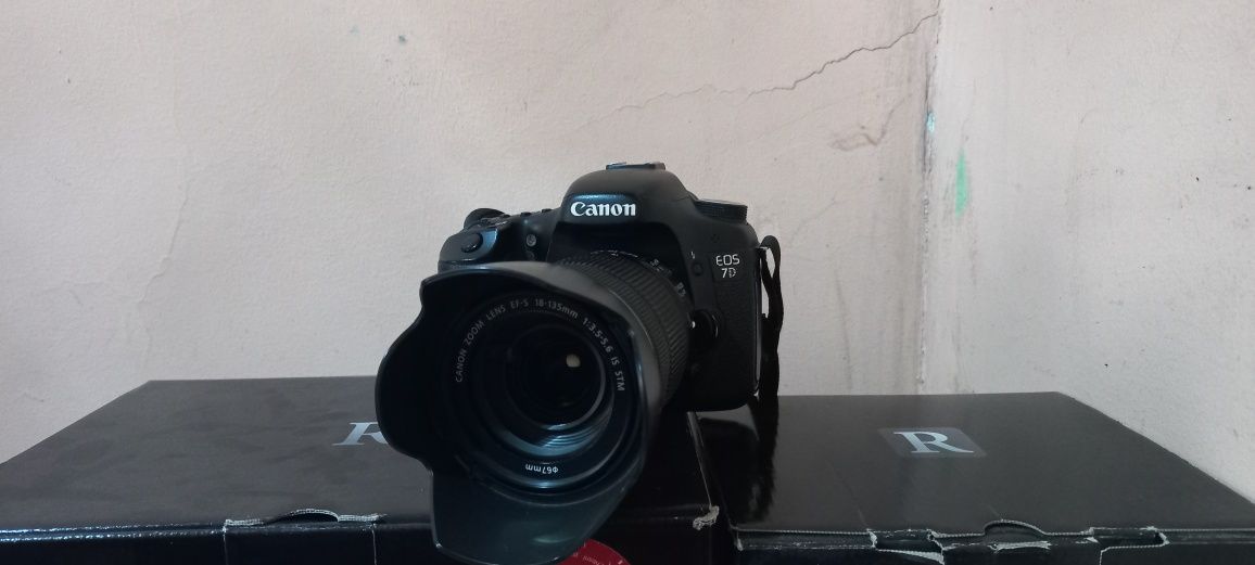 Canon RP+R10+R50