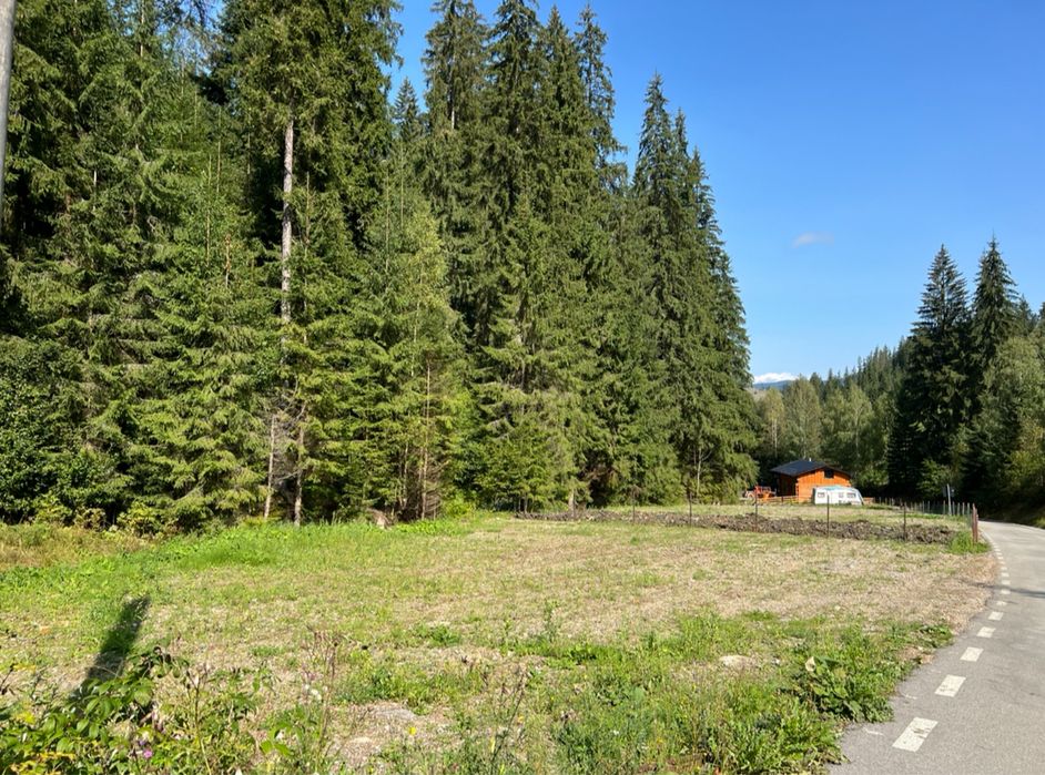 Teren,500mp, Vatra Dornei, langa telescaun, asfalt, zona deosebita