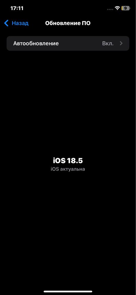 Iphone 11 идеал