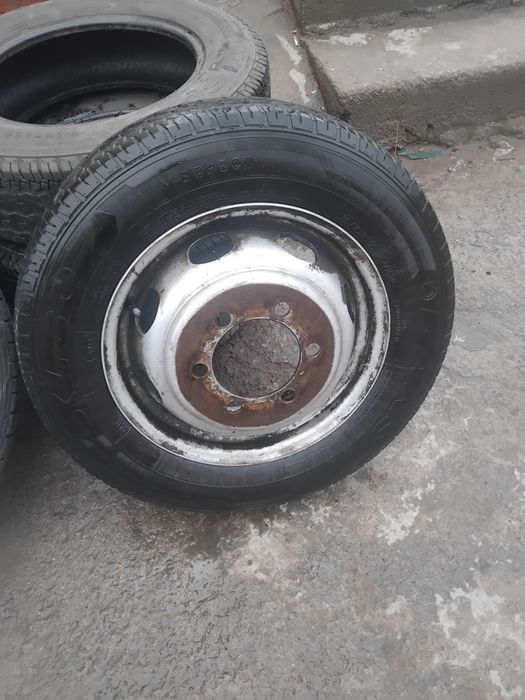 Gazel zapaska sotiladi xolati yaxshi