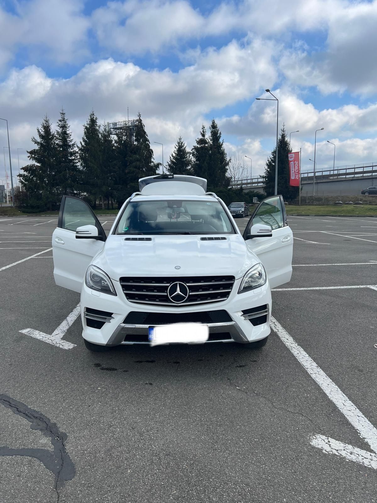 Mercedes-Benz ML 250 D,4MaticAMG,airmatic4x4