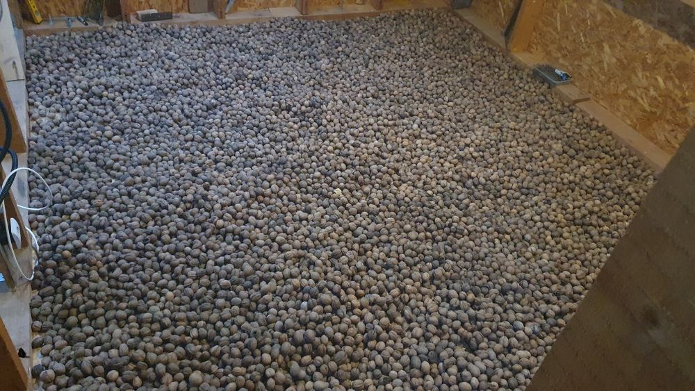 Vand nuci productie 2025