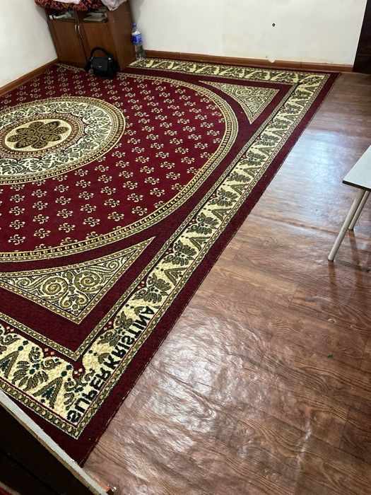 Qizlar ijaraga qo'yiladi.