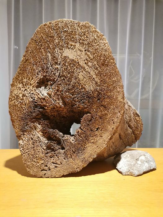 Арт корени, декорция