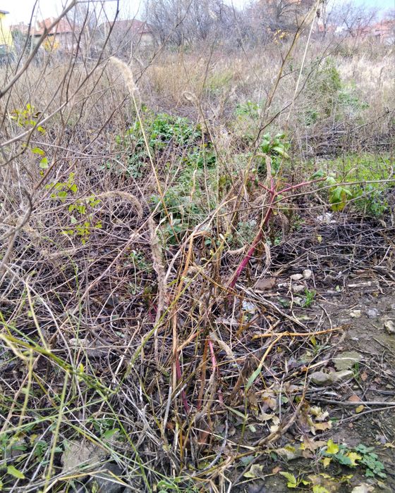 Продава се Къща в с. Бистрица, Област Кюстендил - 150 кв.м за 313 €/кв.м - Снимка #5