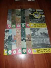 Reviste vechi Romania apicola (apicultura , albine )