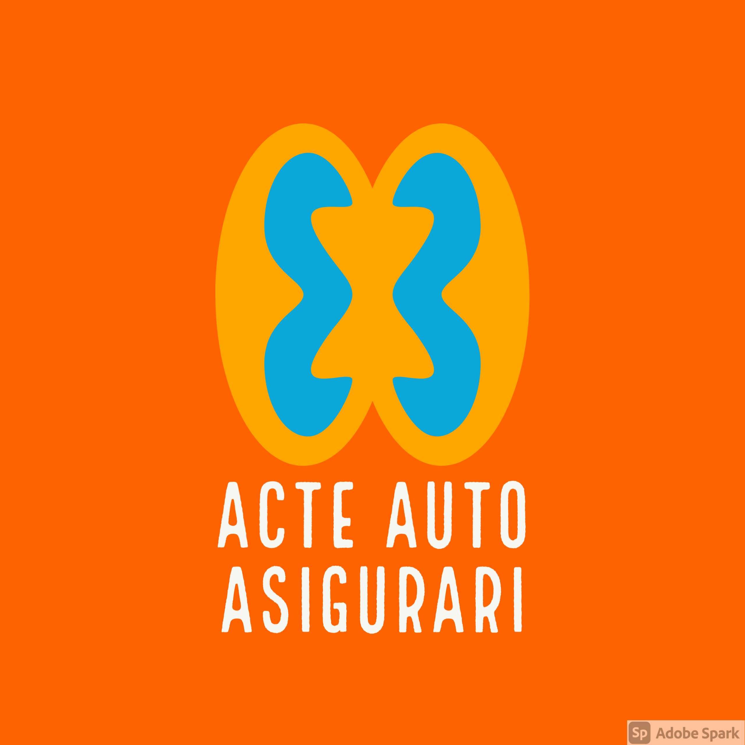 Acte Auto - Asigurari - Daune