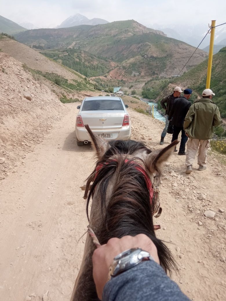 Поездка в горы, транспортный услуги, такси в горы чарвак, Чимган, амир