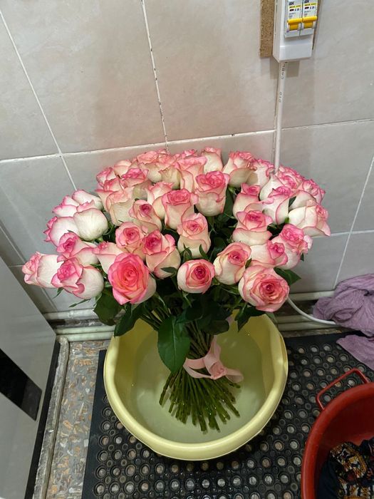 51шт роза, свежый