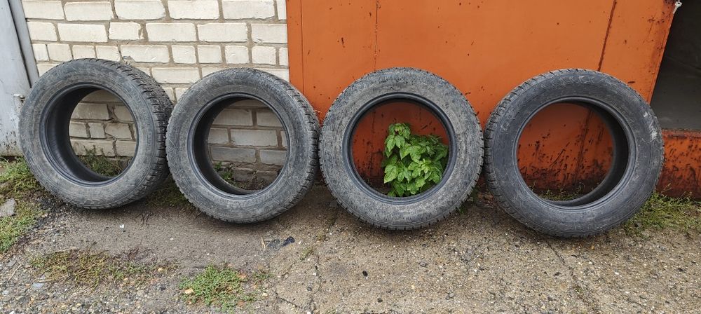 Продам зимние шины Nokian Hakkapeliitta 7