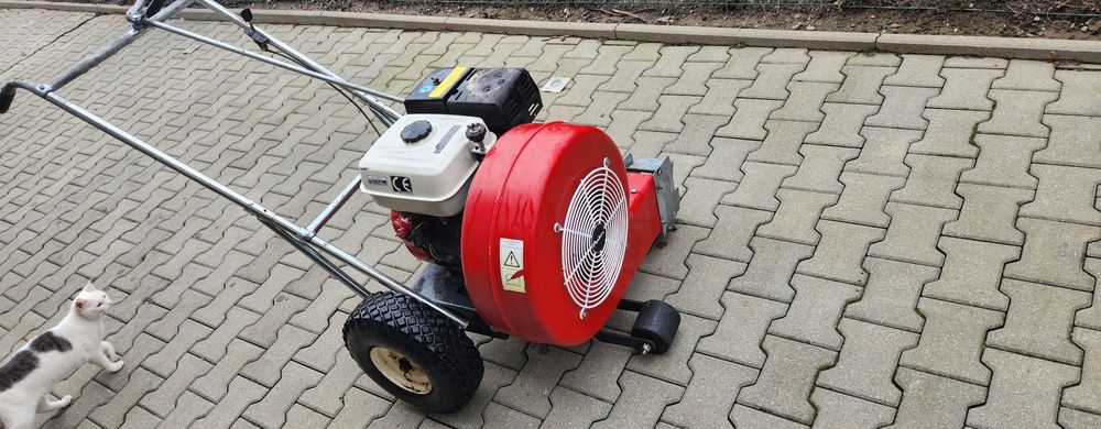 Suflanta profesionala