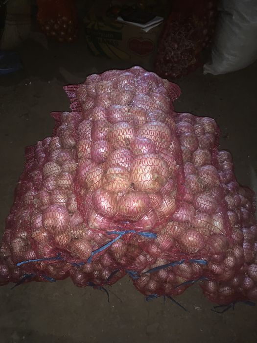 Ceapa roz de vanzare