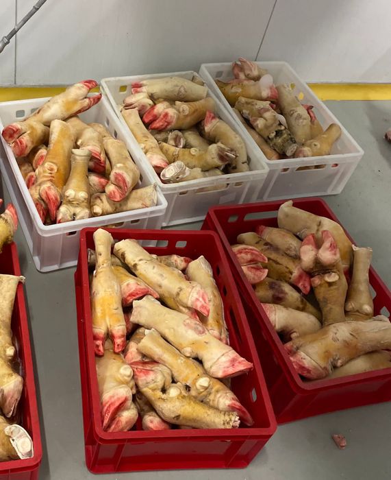 Копыта на холодец очищенные