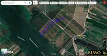 Teren 5000mp extravilan Tarna Mare