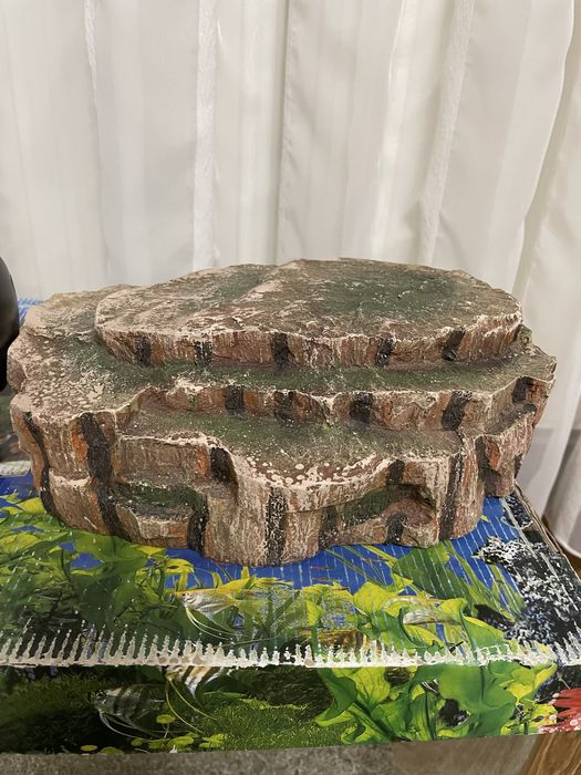 Acvariu broasca testoasa