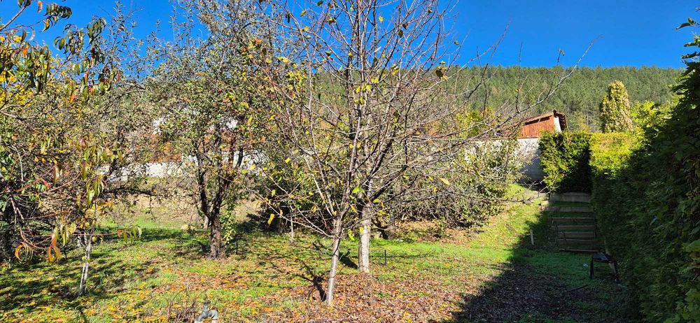 Парцел със спер локация и параметри в с.Присово.